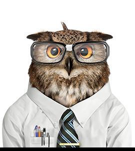金融街猫头鹰:一只栩栩如生的嚎叫，戴着眼镜，打着领带，穿着带口袋保护器的白衬衫